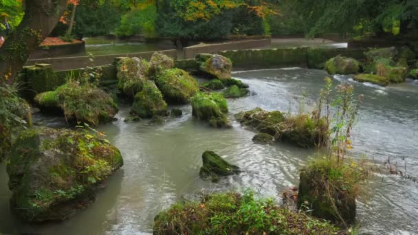 Mnichov Anglická Zahrada Englischer Garten Park Podzimní Barvy Stromech Listí — Stock video