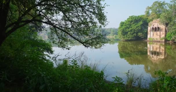 美しい観光名所パドマタラオ湖砦の遺跡と 熱帯緑と保護区の木 インドのラジャスタン州にある国立公園 — ストック動画