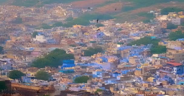 Häuser Und Dächer Des Berühmten Touristischen Wahrzeichens Jodhpur Die Blaue — Stockvideo