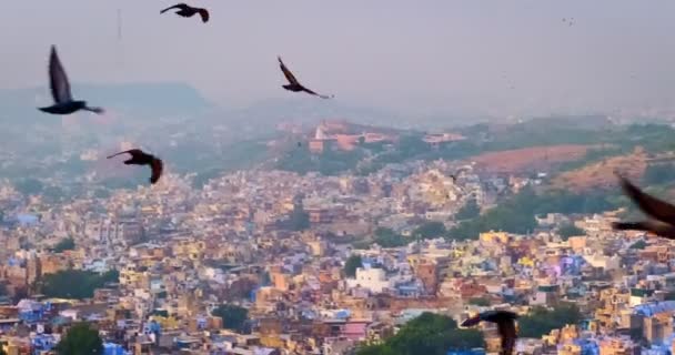 Häuser Und Dächer Des Berühmten Touristischen Wahrzeichens Jodhpur Die Blaue — Stockvideo