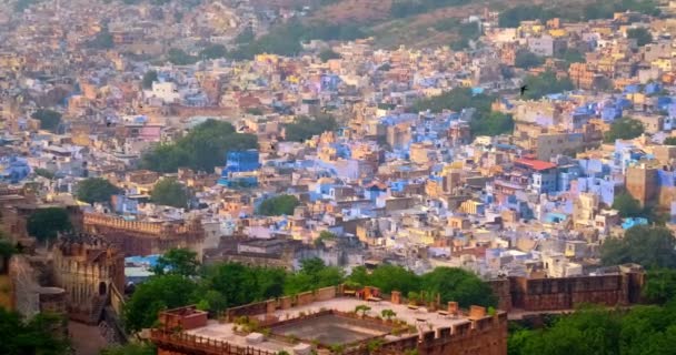 Domy Dachy Słynnego Zabytku Turystycznego Jodhpur Blue City Widok Lotu — Wideo stockowe