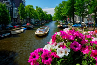 Amsterdam Kanalı ve çiçekler