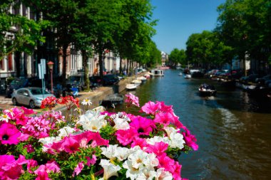 Amsterdam Kanalı ve çiçekler
