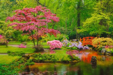 Japon bahçesi, Park Clingendael, Lahey, Hollanda