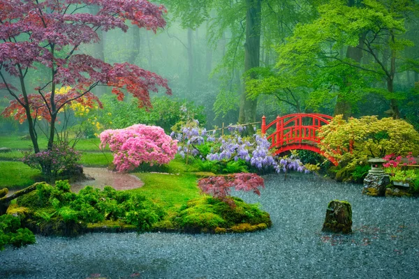 Jardin japonais, Parc Clingendael, La Haye, Pays-Bas — Photo