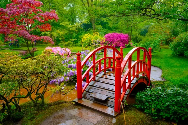 Jardín japonés, Park Clingendael, La Haya, Países Bajos — Foto de Stock