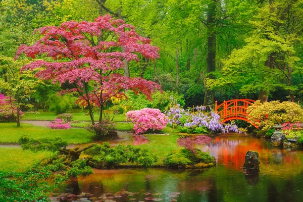 Giardino giapponese, Park Clingendael, L'Aia, Paesi Bassi — Foto Stock