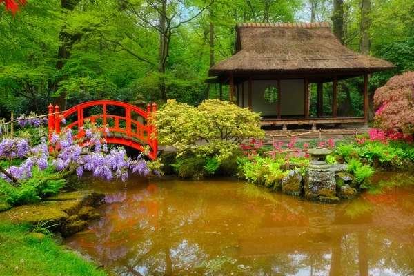 日本庭園、公園クリンゲンダール、ハーグ、オランダ — ストック写真