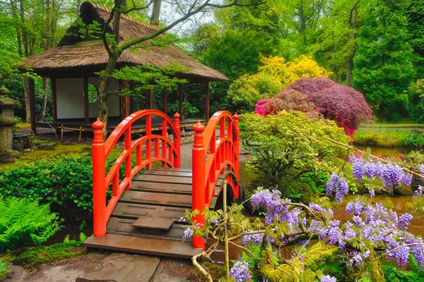 Japansk trädgård, Park Clingendael, Haag, Nederländerna — Stockfoto