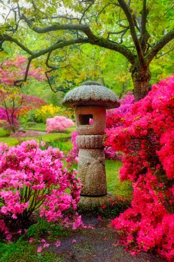Japon bahçesi, Park Clingendael, Lahey, Hollanda