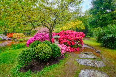 Japon bahçesi, Park Clingendael, Lahey, Hollanda