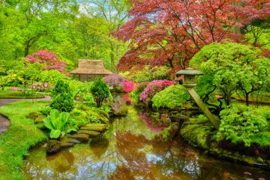 Japon bahçesi, Park Clingendael, Lahey, Hollanda