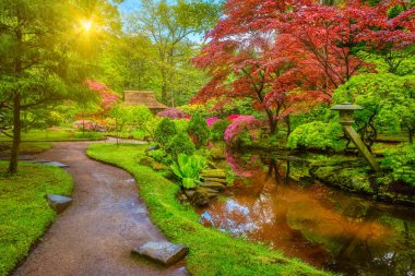 Japon bahçesi, Park Clingendael, Lahey, Hollanda
