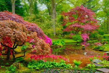 Japon bahçesi, Park Clingendael, Lahey, Hollanda