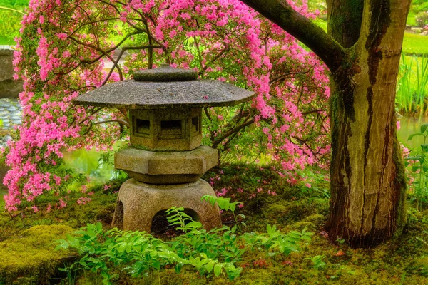 Jardin japonais, Parc Clingendael, La Haye, Pays-Bas — Photo