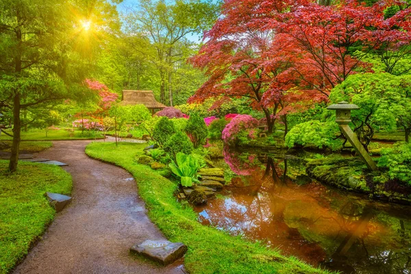 Japon bahçesi, Park Clingendael, Lahey, Hollanda — Stok fotoğraf