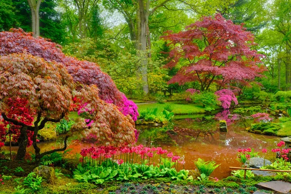 Japanse tuin, Park Clingendael, Den Haag, Nederland — Stockfoto