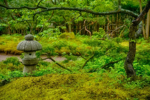 Jardim japonês, Park Clingendael, Haia, Países Baixos — Fotografia de Stock