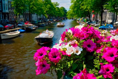 Amsterdam Kanalı ve çiçekler