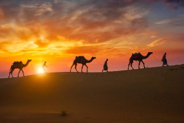 Hintli cameleers deve sürücüsü gün batımında kum tepelerinde deve siluetleriyle. Jaisalmer, Rajasthan, Hindistan