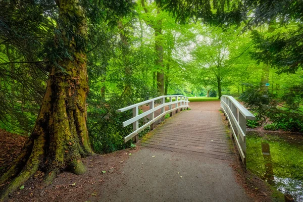 Bridge in a park. — Stock Photo, Image