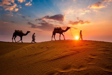 Hintli cameleers deve sürücüsü gün batımında kum tepelerinde deve siluetleriyle. Jaisalmer, Rajasthan, Hindistan