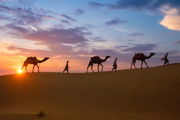 Indiska kameler kamelförare med kamel silhuetter i sanddyner vid solnedgången. Jaisalmer, Rajasthan, Indien — Stockfoto