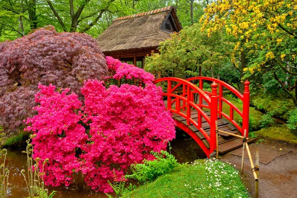 Japanischer Garten, Park Clingendael, Den Haag, Niederlande — Stockfoto