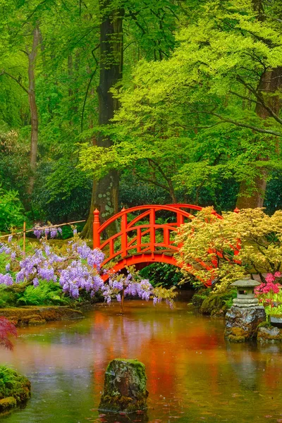 日本庭園、公園クリンゲンダール、ハーグ、オランダ — ストック写真