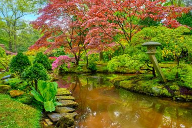 Japon bahçesi, Park Clingendael, Lahey, Hollanda