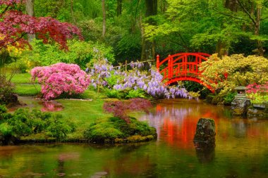 Japon bahçesi, Park Clingendael, Lahey, Hollanda