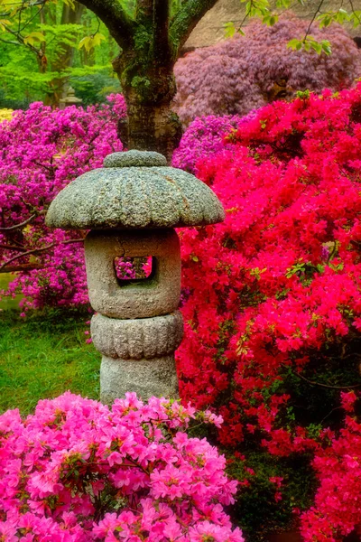 Jardin japonais, Parc Clingendael, La Haye, Pays-Bas — Photo