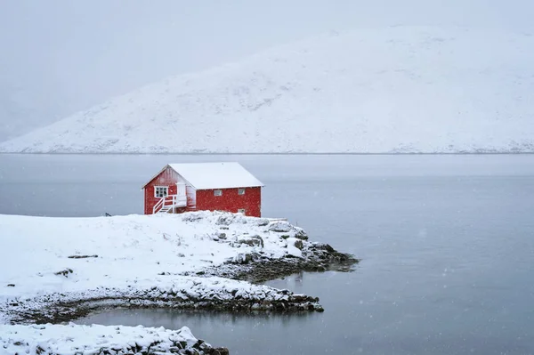Rotes rorbu Haus im Winter auf den Lofoten, Norwegen — Stockfoto
