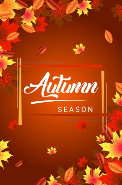 Sonbahar afiş kümesi bırakır. Sonbahar yaprak arka plan girdap. Doğa sınır dekor koleksiyonu