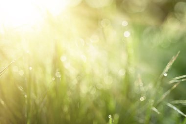 Doğal soyut arkaplan