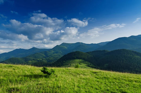 Карпатский горный пейзаж — стоковое фото