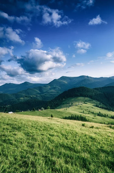 Karpat horská krajina — Stock fotografie