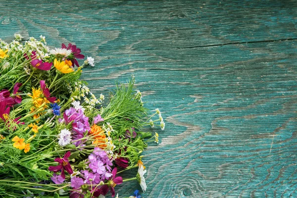 Flores de verano se burlan — Foto de Stock