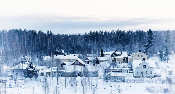 Paisagem Inverno Com Árvores Pequena Cidade Sueca Fundo Hipster Sazonal — Fotografia de Stock
