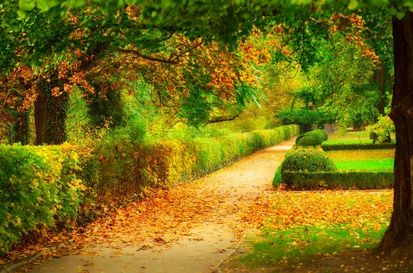 Herbstlich schöner Park — Stockfoto