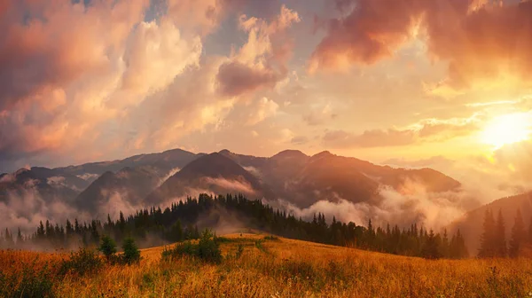 多雾的晨景 — 图库照片