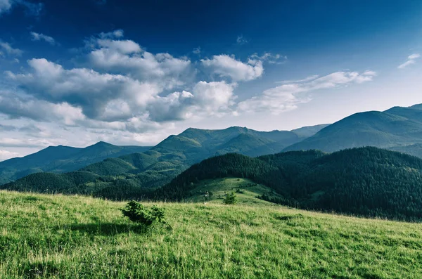 Paisaje montañoso Cárpatos — Foto de Stock