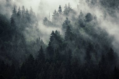 Sisli dağ manzarası