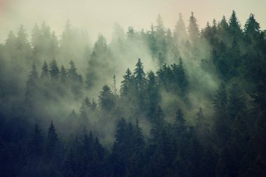 Sisli dağ manzarası