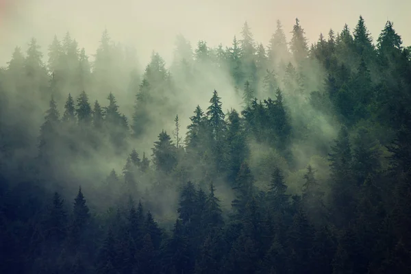 Misty paisaje de montaña — Foto de Stock