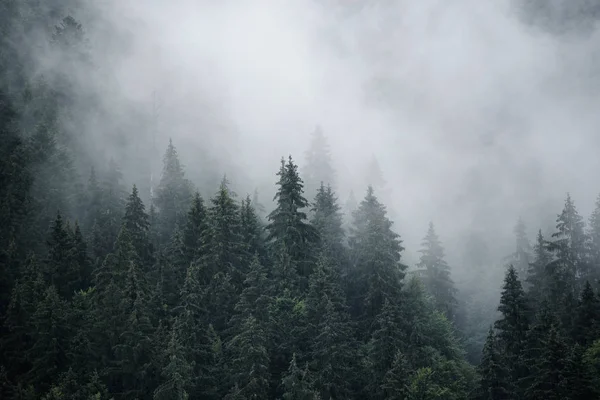 Mglisty krajobraz górski — Zdjęcie stockowe