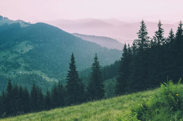 Sisli dağ manzarası