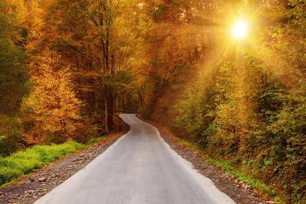 Güzel sonbahar manzarası