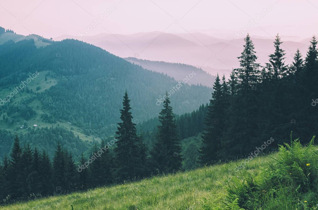 Misty mountain landscape