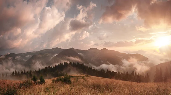 多雾的晨景 — 图库照片